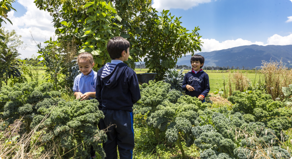 colegio gimnasio fontana mejores colegio calendario b bogota bilingüe