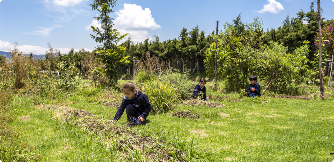colegio gimnasio fontana mejores colegio calendario b bogota bilingüe