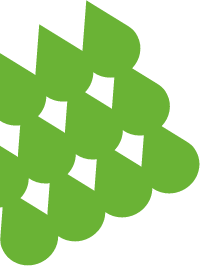 figura-extracurricular-6