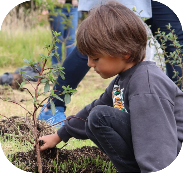 colegio gimnasio fontana mejores colegio calendario b bogota bilingüe niño