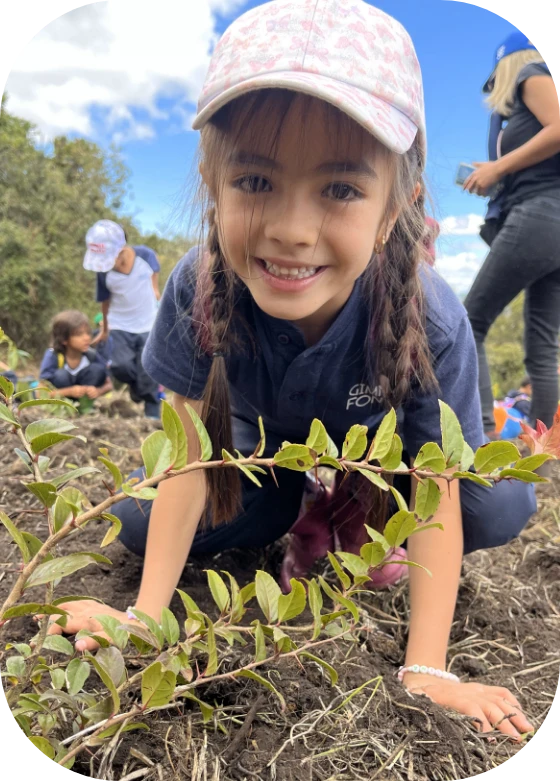 colegio gimnasio fontana mejores colegio calendario b bogota bilingüe niña