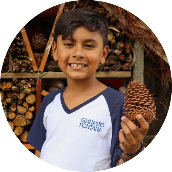 colegio gimnasio fontana mejores colegio calendario b bogota bilingüe niño