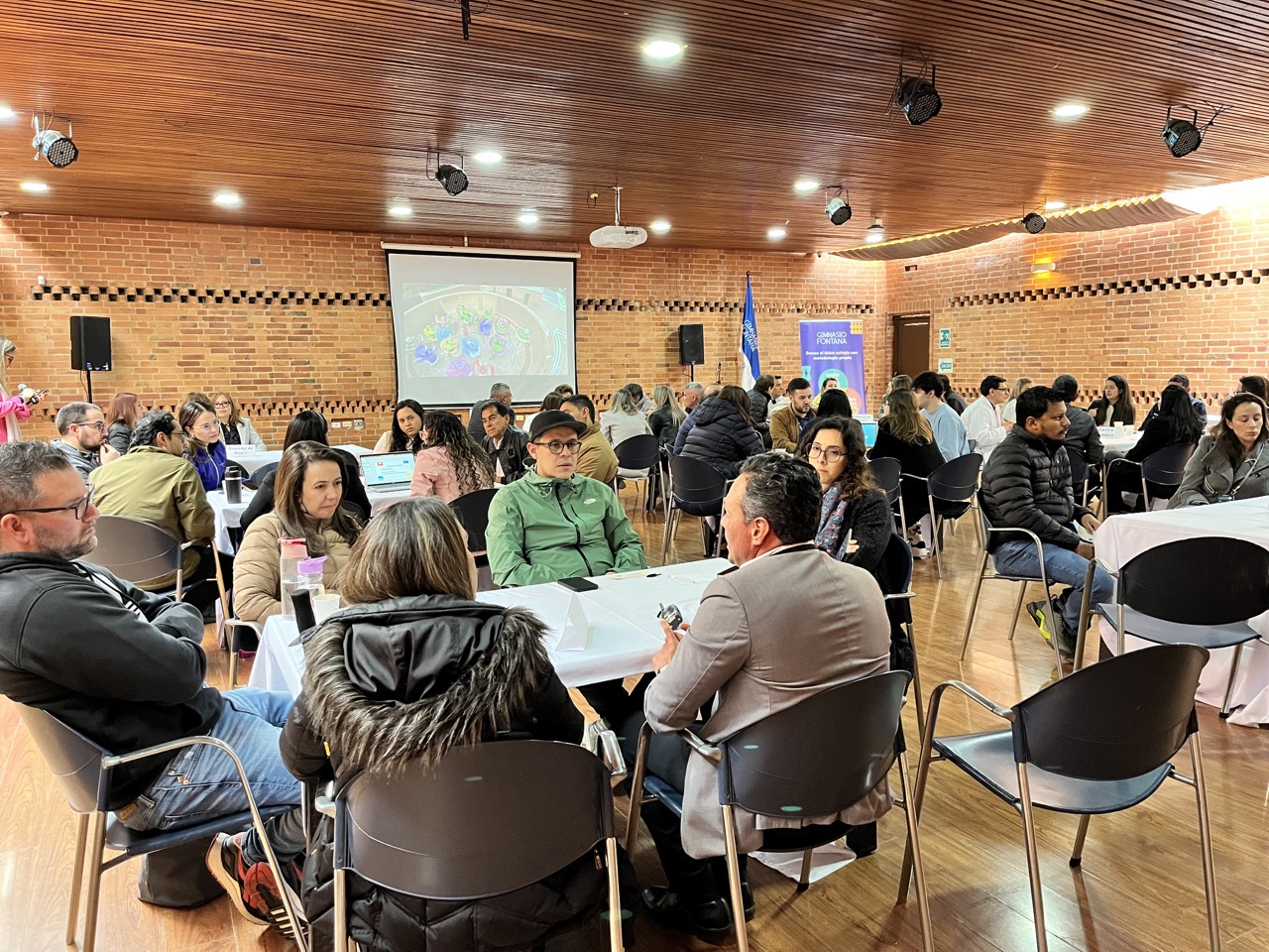 IMG_7569 de tamaño grande